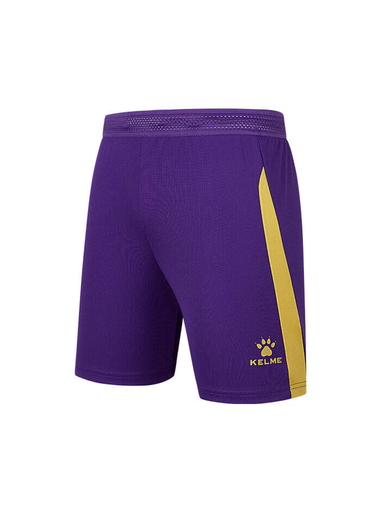 Шорты KELME Football Shorts Violet