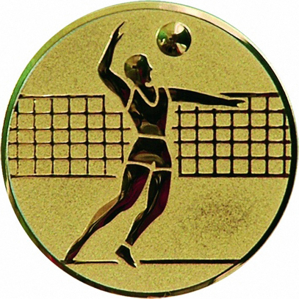 Эмблема D2-A6/G волейбол (D-50 мм)