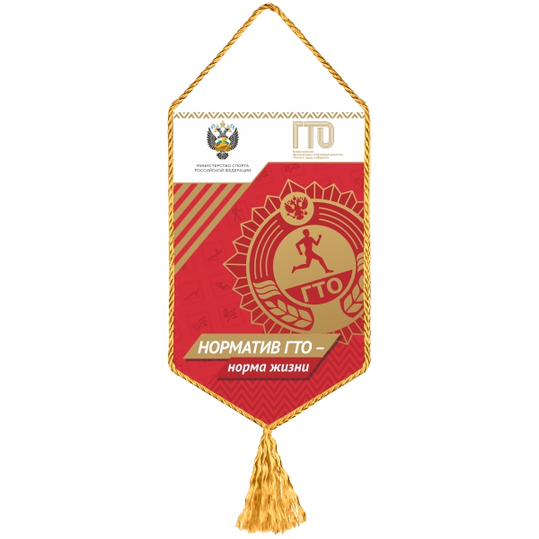Вымпел ГТО красный (120х197 мм)