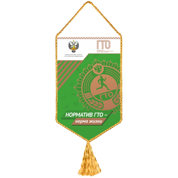 Вымпел ГТО зеленый (120х197 мм)