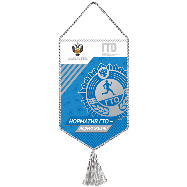 Вымпел ГТО синий (120х197 мм)