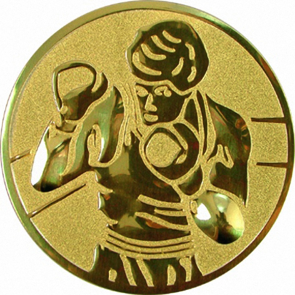 Эмблема D2-A57/G бокс (D-50 мм)
